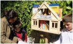 little-free-library