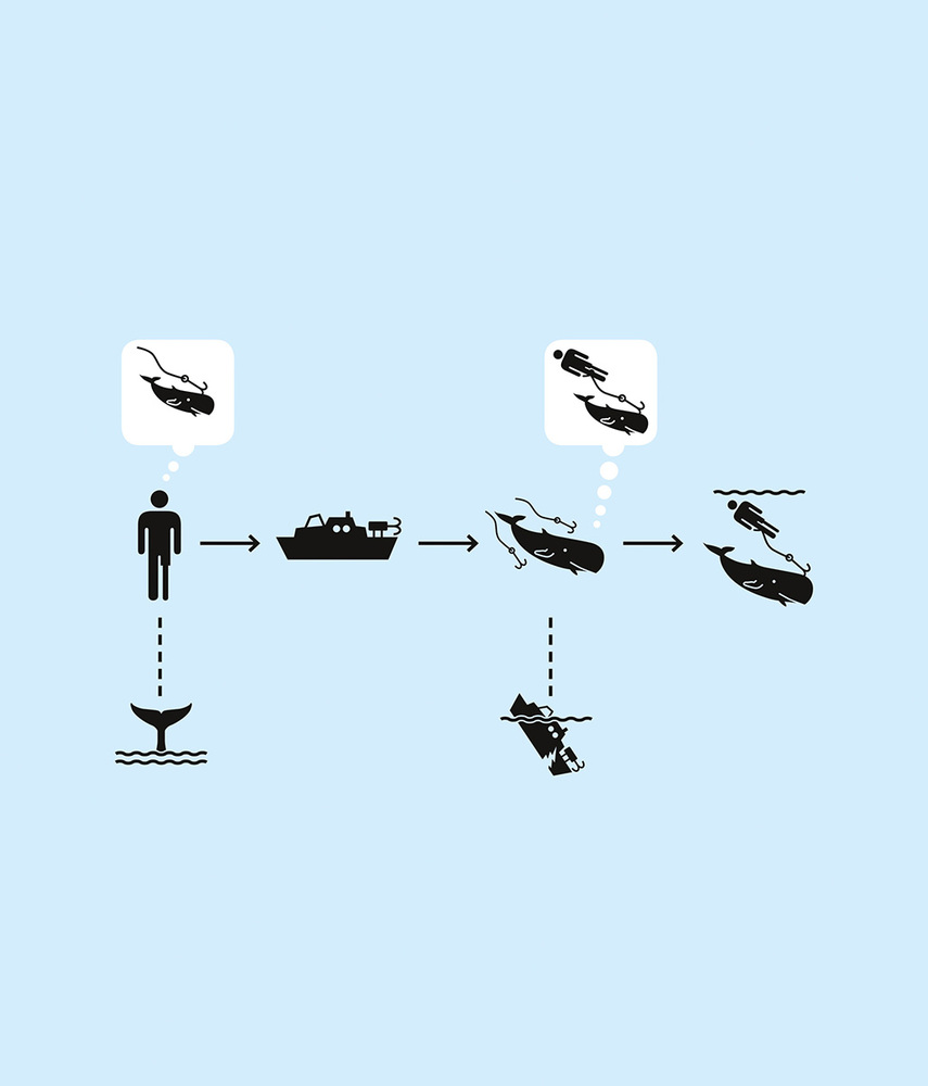 POIESIS/POLEMOS: Боряна Кацарска за поезията на Цочо Бояджиев