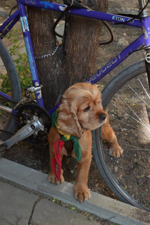 Среща-разговор с Роси Михова за новата ѝ книга "ТРИМА НАСАМЕ. Задочни разговори с Макс Фриш"