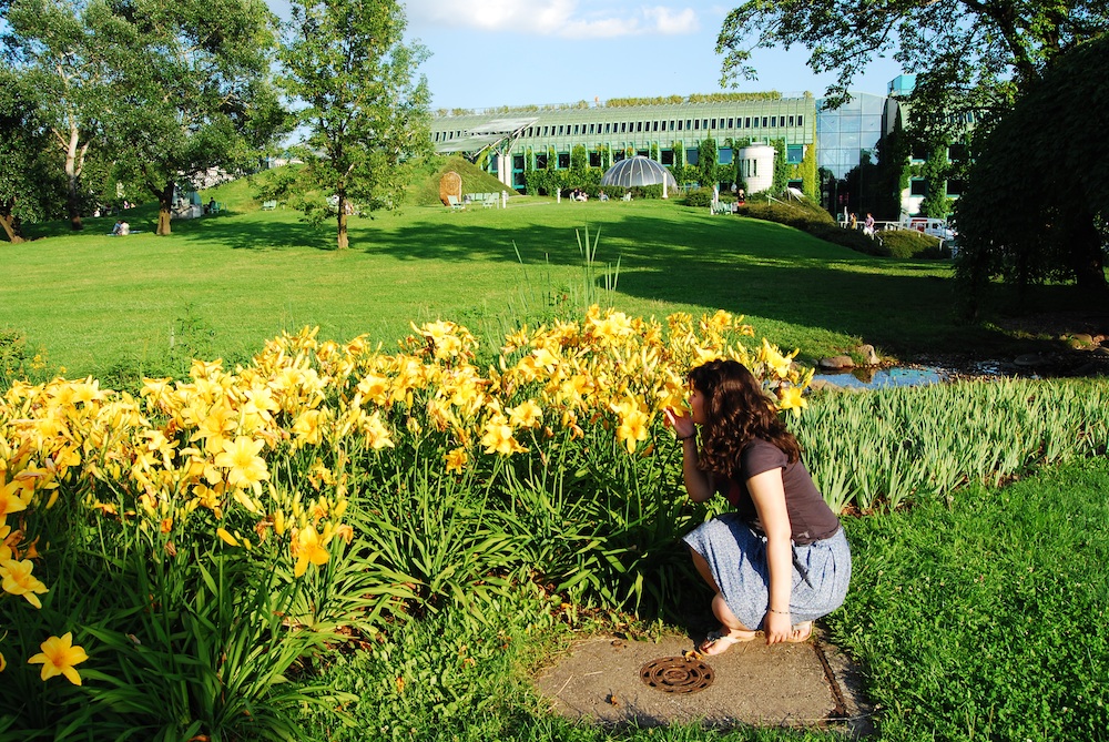 POIESIS/POLEMOS: Боряна Кацарска за поезията на Цочо Бояджиев