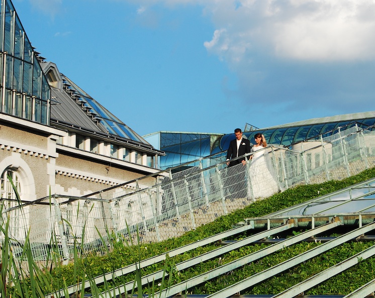 POIESIS/POLEMOS: Боряна Кацарска за поезията на Цочо Бояджиев