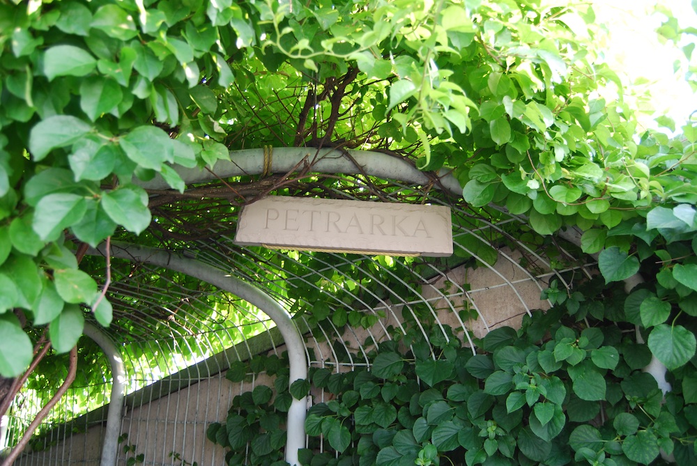 Среща-разговор с Роси Михова за новата ѝ книга "ТРИМА НАСАМЕ. Задочни разговори с Макс Фриш"