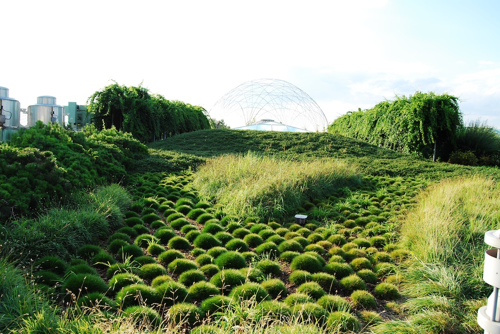 Среща-разговор с Роси Михова за новата ѝ книга "ТРИМА НАСАМЕ. Задочни разговори с Макс Фриш"