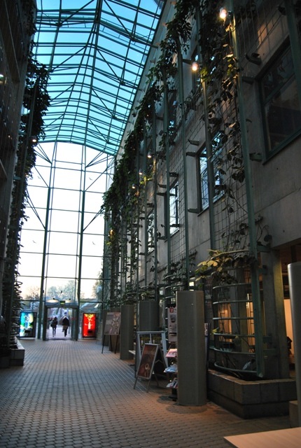 Среща-разговор с Роси Михова за новата ѝ книга "ТРИМА НАСАМЕ. Задочни разговори с Макс Фриш"