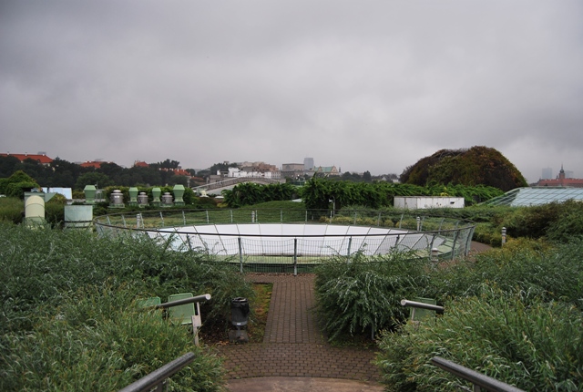 Среща-разговор с Роси Михова за новата ѝ книга "ТРИМА НАСАМЕ. Задочни разговори с Макс Фриш"