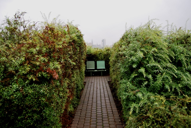 POIESIS/POLEMOS: Боряна Кацарска за поезията на Цочо Бояджиев