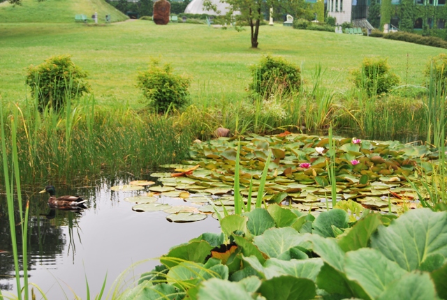 Среща-разговор с Роси Михова за новата ѝ книга "ТРИМА НАСАМЕ. Задочни разговори с Макс Фриш"