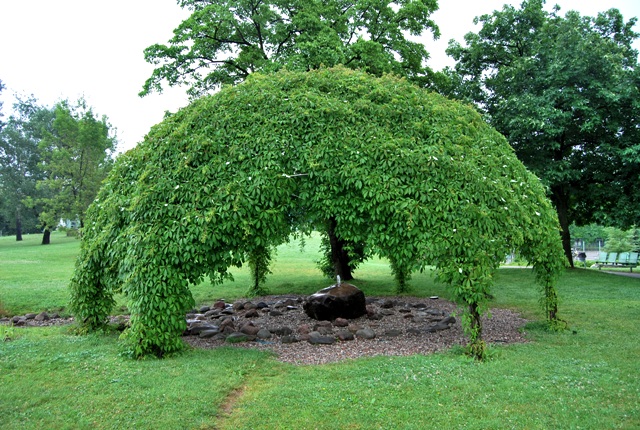 POIESIS/POLEMOS: Боряна Кацарска за поезията на Цочо Бояджиев