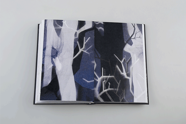 Среща-разговор с Роси Михова за новата ѝ книга "ТРИМА НАСАМЕ. Задочни разговори с Макс Фриш"