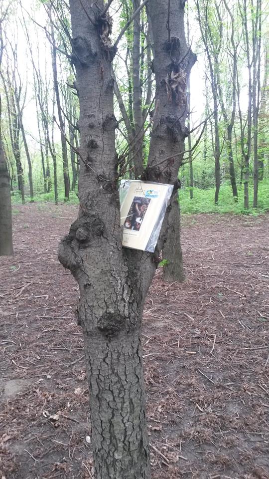 Среща-разговор с Роси Михова за новата ѝ книга "ТРИМА НАСАМЕ. Задочни разговори с Макс Фриш"