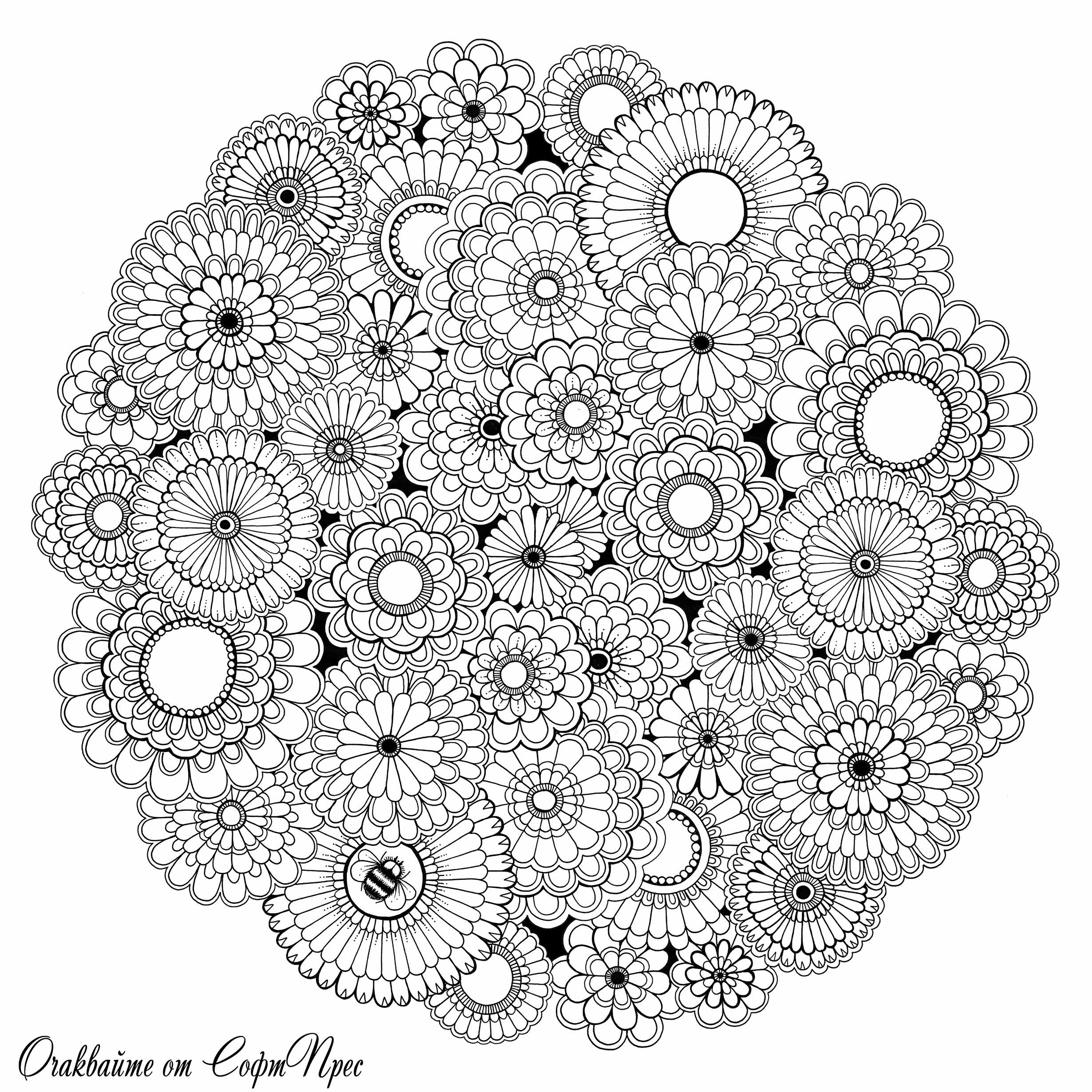 POIESIS/POLEMOS: Боряна Кацарска за поезията на Цочо Бояджиев