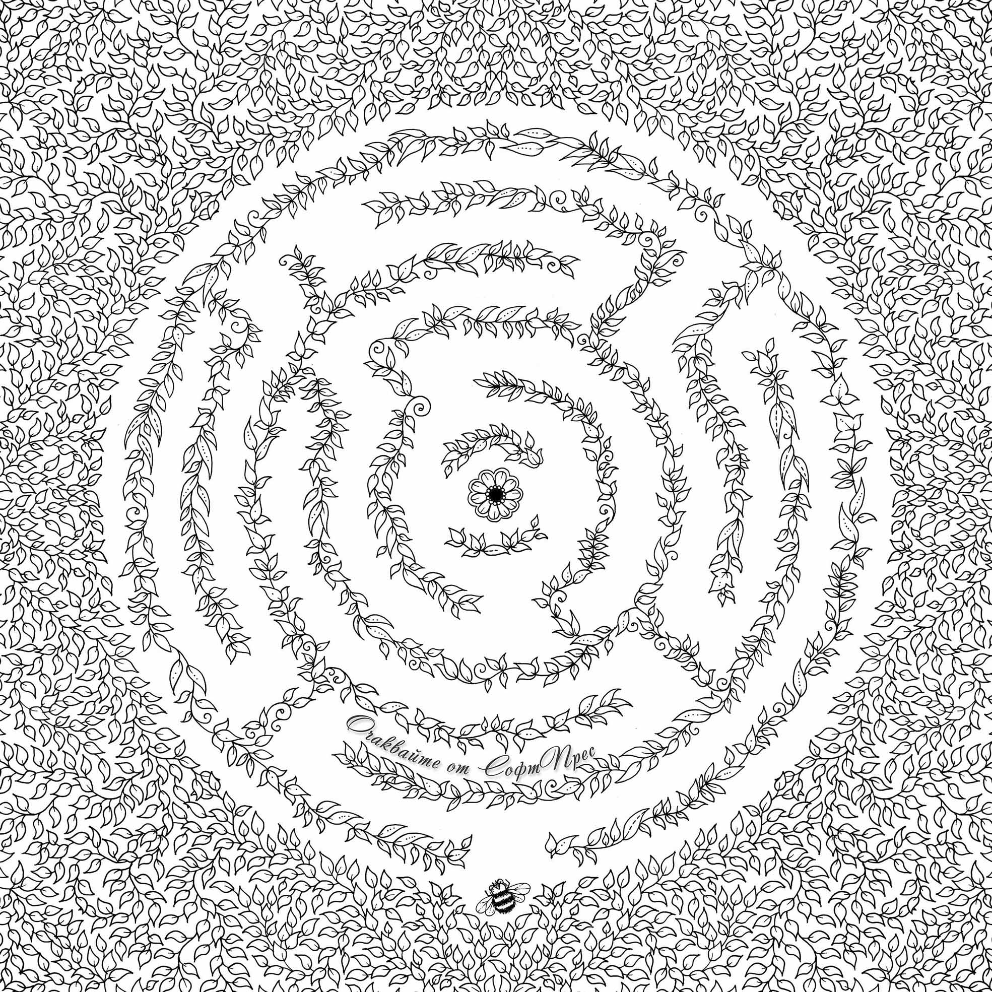 Среща-разговор с Роси Михова за новата ѝ книга "ТРИМА НАСАМЕ. Задочни разговори с Макс Фриш"