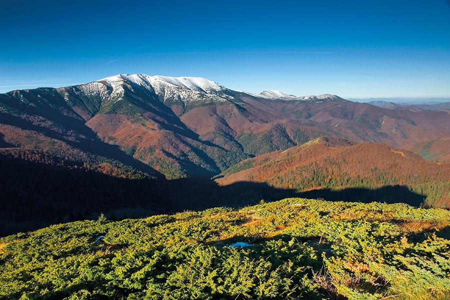 POIESIS/POLEMOS: Боряна Кацарска за поезията на Цочо Бояджиев