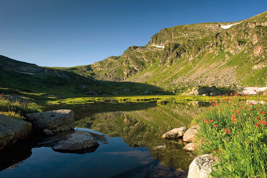 POIESIS/POLEMOS: Боряна Кацарска за поезията на Цочо Бояджиев