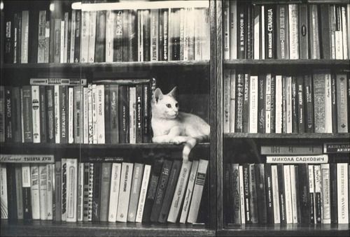 Среща-разговор с Роси Михова за новата ѝ книга "ТРИМА НАСАМЕ. Задочни разговори с Макс Фриш"