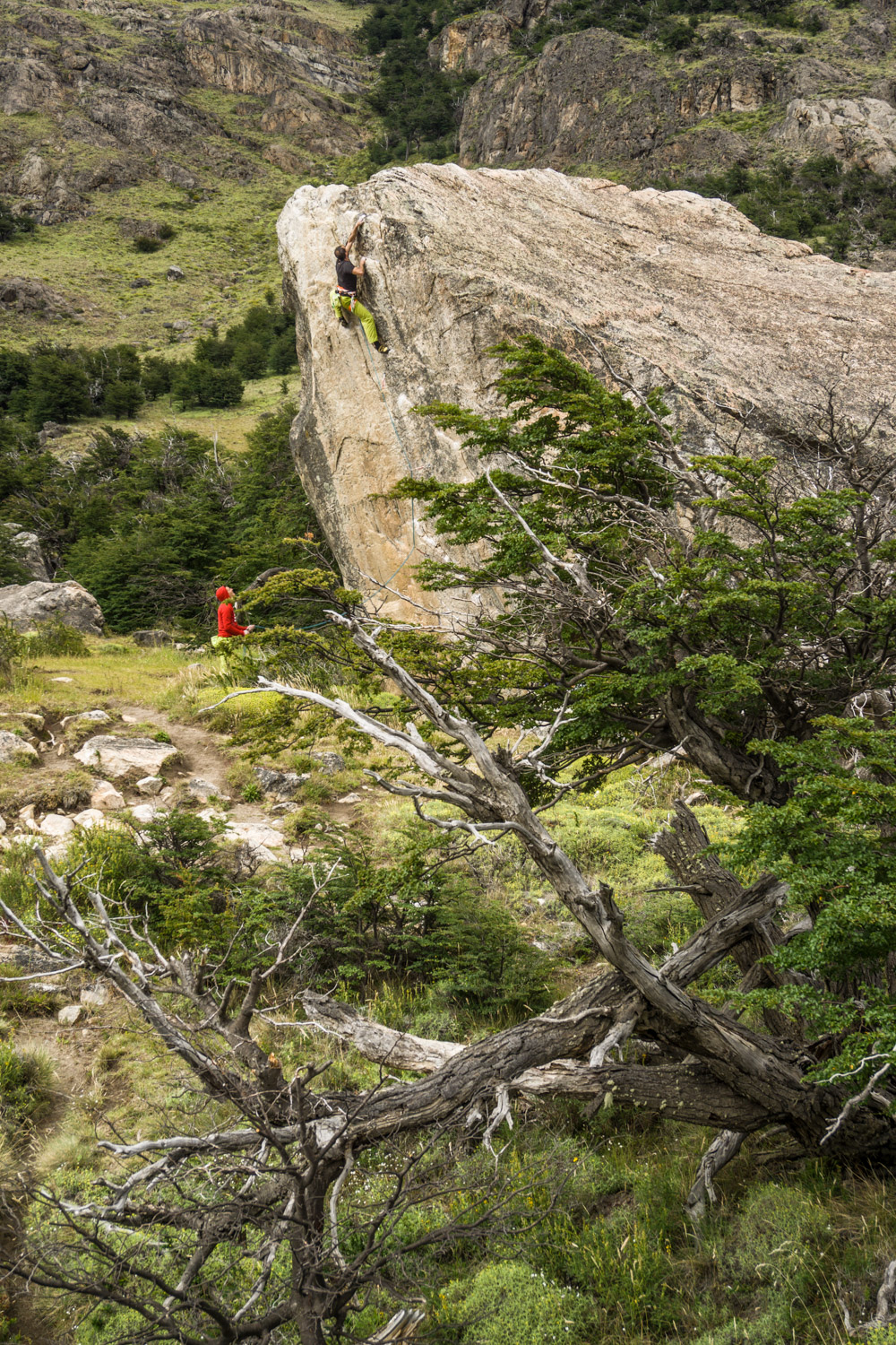Среща-разговор с Роси Михова за новата ѝ книга "ТРИМА НАСАМЕ. Задочни разговори с Макс Фриш"