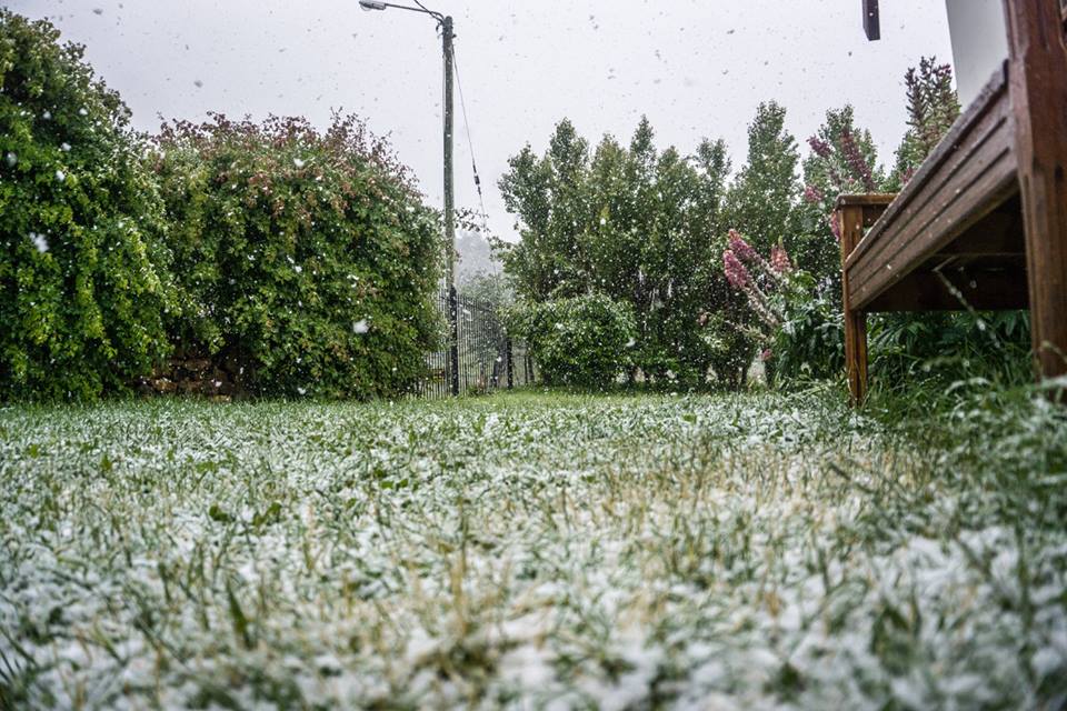 POIESIS/POLEMOS: Боряна Кацарска за поезията на Цочо Бояджиев