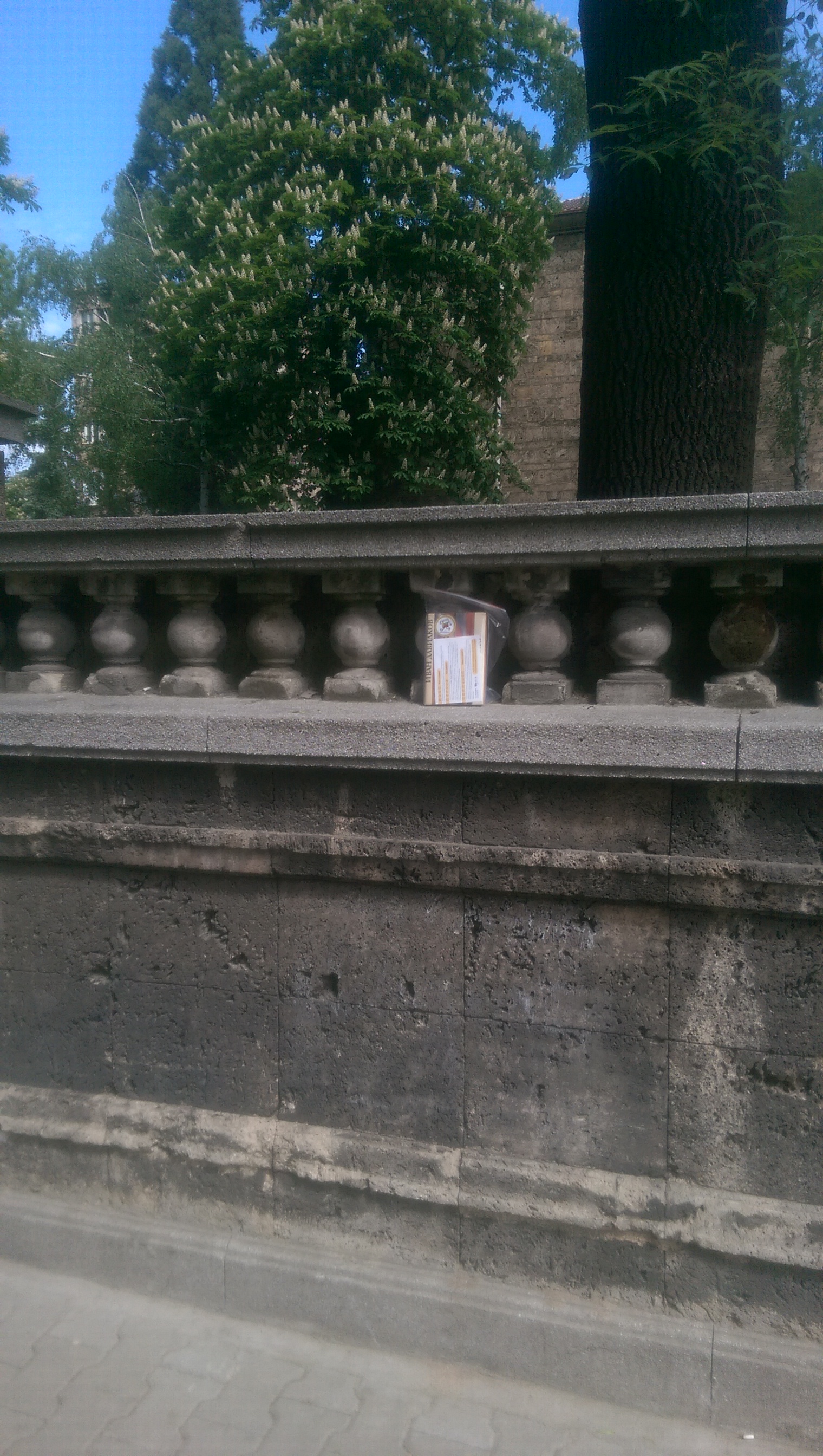 POIESIS/POLEMOS: Боряна Кацарска за поезията на Цочо Бояджиев