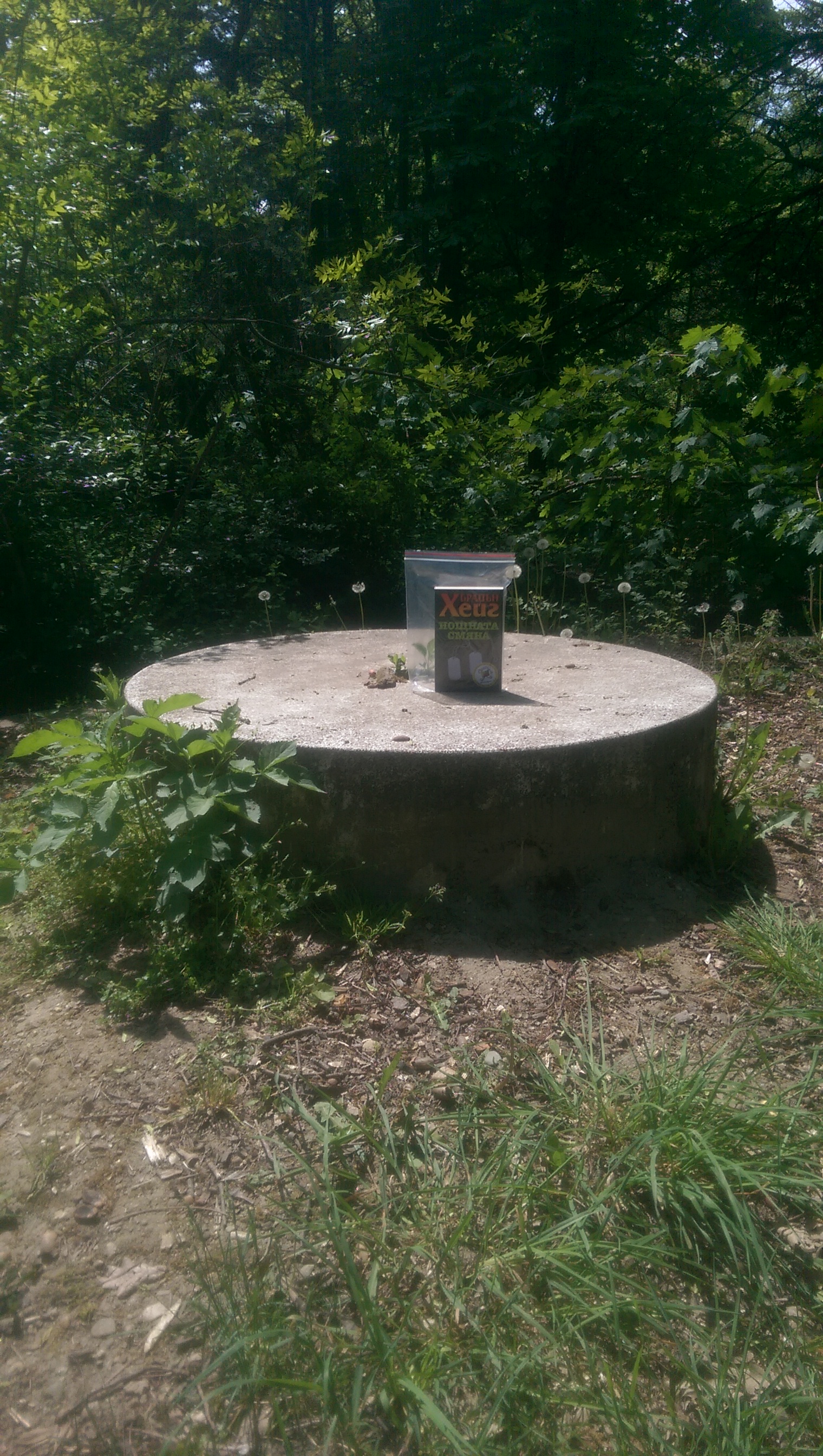 POIESIS/POLEMOS: Боряна Кацарска за поезията на Цочо Бояджиев