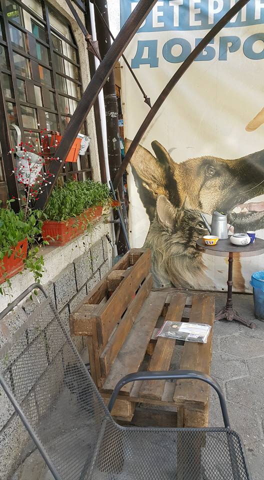 POIESIS/POLEMOS: Боряна Кацарска за поезията на Цочо Бояджиев