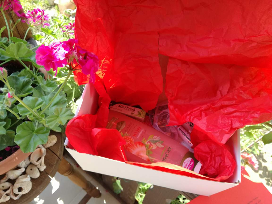 Среща-разговор с Роси Михова за новата ѝ книга "ТРИМА НАСАМЕ. Задочни разговори с Макс Фриш"