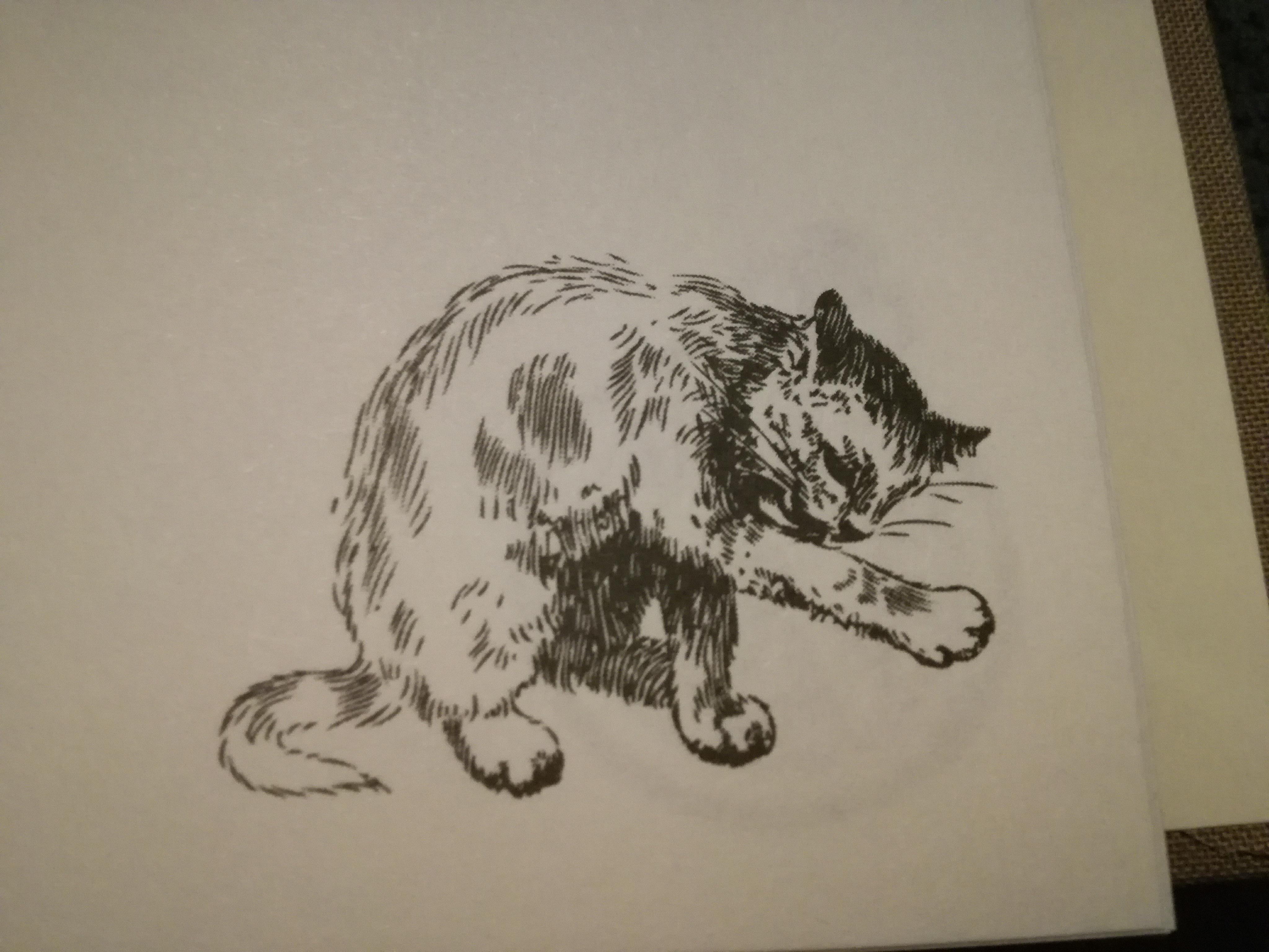 Среща-разговор с Роси Михова за новата ѝ книга "ТРИМА НАСАМЕ. Задочни разговори с Макс Фриш"