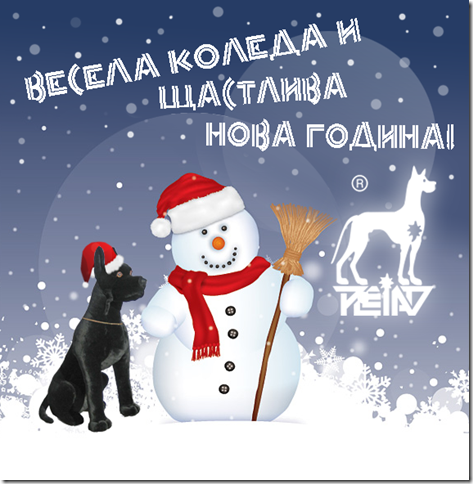 POIESIS/POLEMOS: Боряна Кацарска за поезията на Цочо Бояджиев