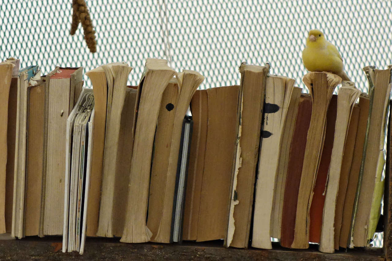 Среща-разговор с Роси Михова за новата ѝ книга "ТРИМА НАСАМЕ. Задочни разговори с Макс Фриш"