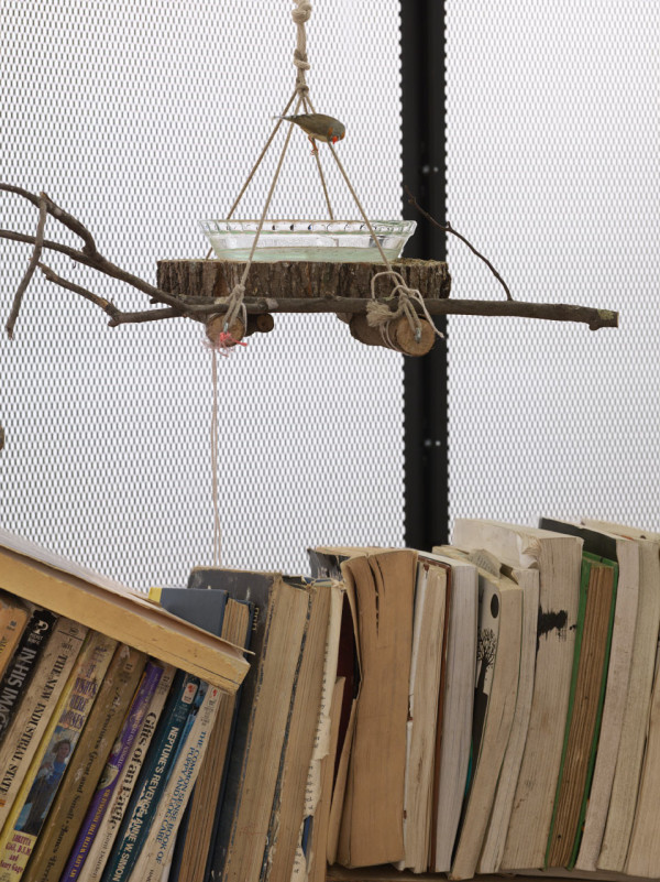 Среща-разговор с Роси Михова за новата ѝ книга "ТРИМА НАСАМЕ. Задочни разговори с Макс Фриш"