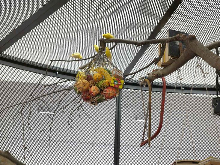 POIESIS/POLEMOS: Боряна Кацарска за поезията на Цочо Бояджиев