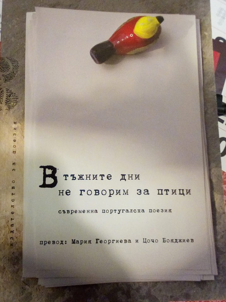 Премиера на "В тъжните дни не говорим за птици"