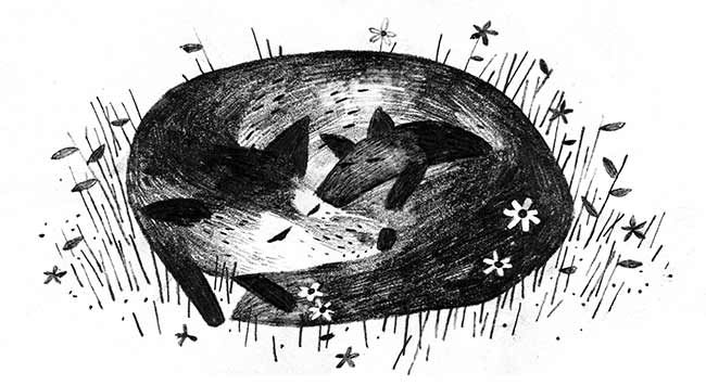 POIESIS/POLEMOS: Боряна Кацарска за поезията на Цочо Бояджиев