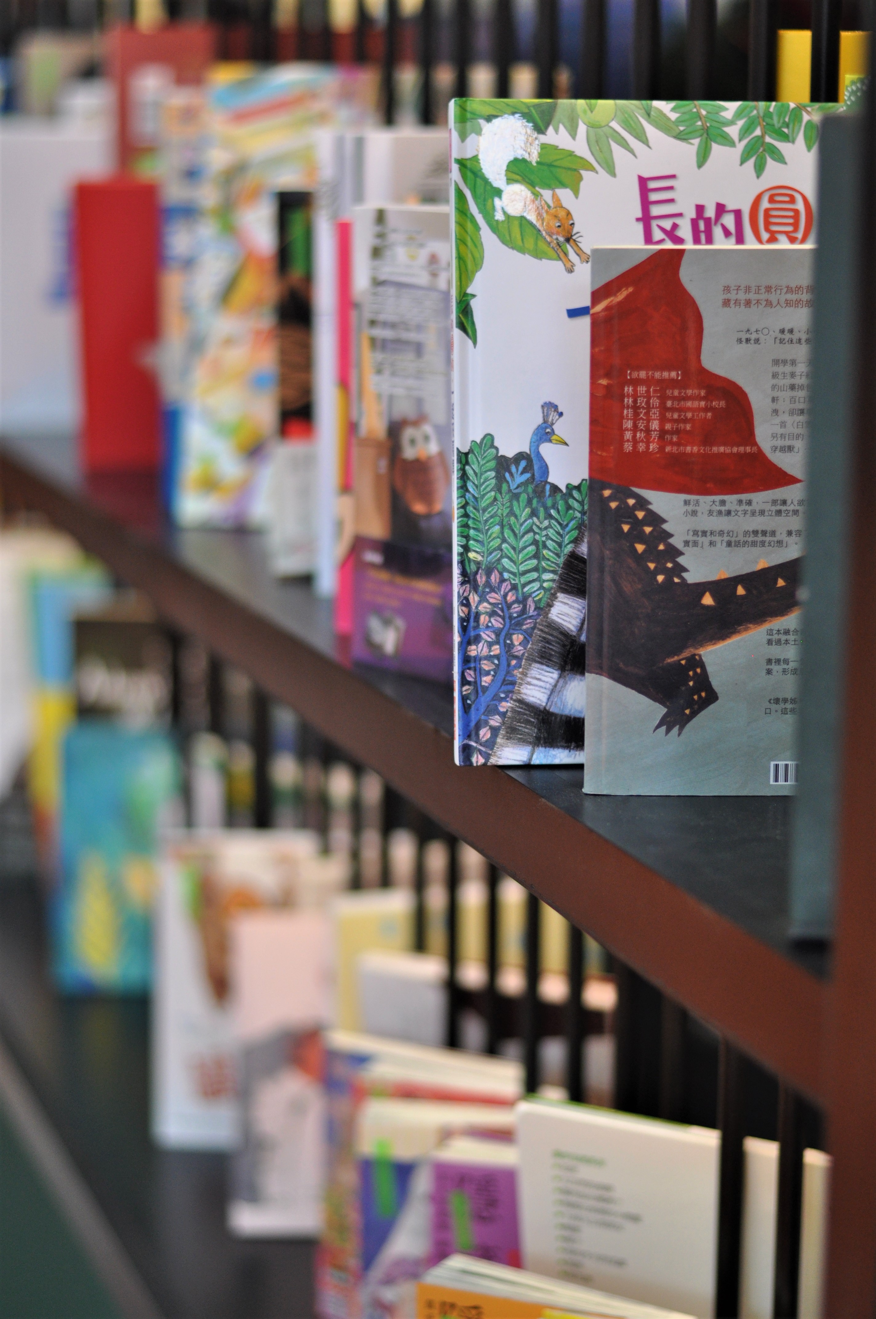 Среща-разговор с Роси Михова за новата ѝ книга "ТРИМА НАСАМЕ. Задочни разговори с Макс Фриш"