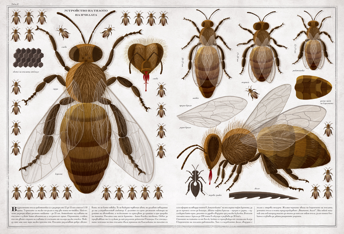 Среща-разговор с Роси Михова за новата ѝ книга "ТРИМА НАСАМЕ. Задочни разговори с Макс Фриш"