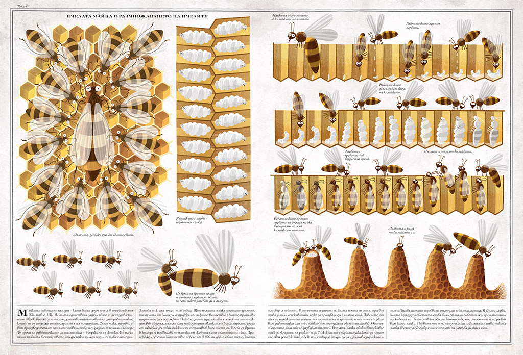 Коледно издание на поетично-музикалния спектакъл  „Сезоните на едно глухарче“