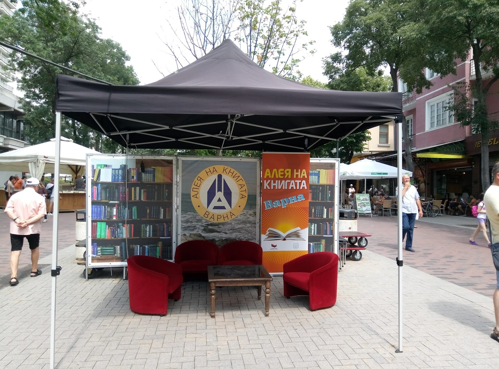 POIESIS/POLEMOS: Боряна Кацарска за поезията на Цочо Бояджиев