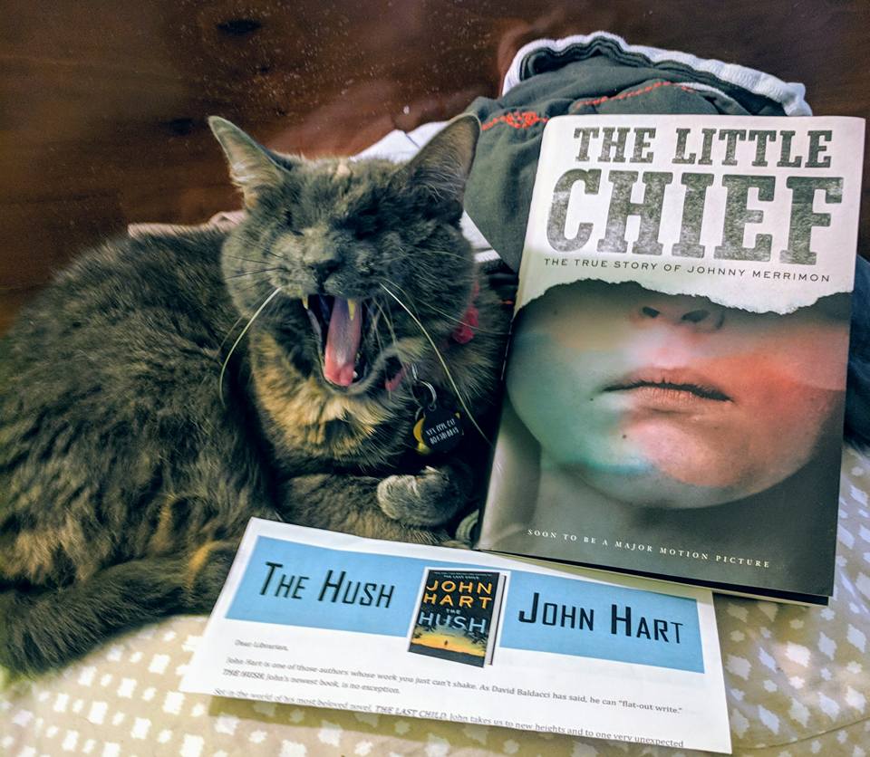 POIESIS/POLEMOS: Боряна Кацарска за поезията на Цочо Бояджиев