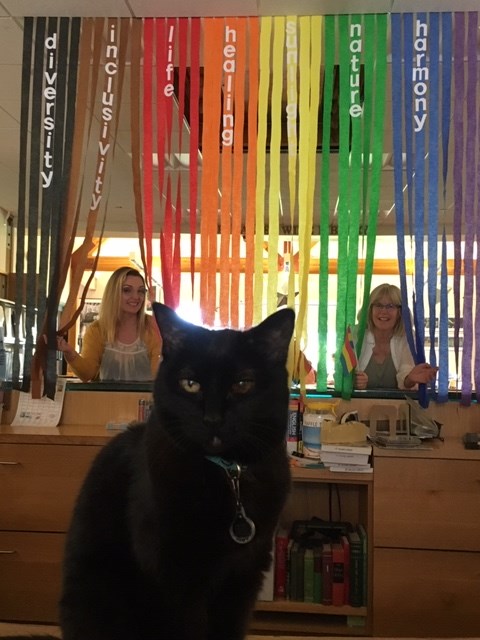 Среща-разговор с Роси Михова за новата ѝ книга "ТРИМА НАСАМЕ. Задочни разговори с Макс Фриш"