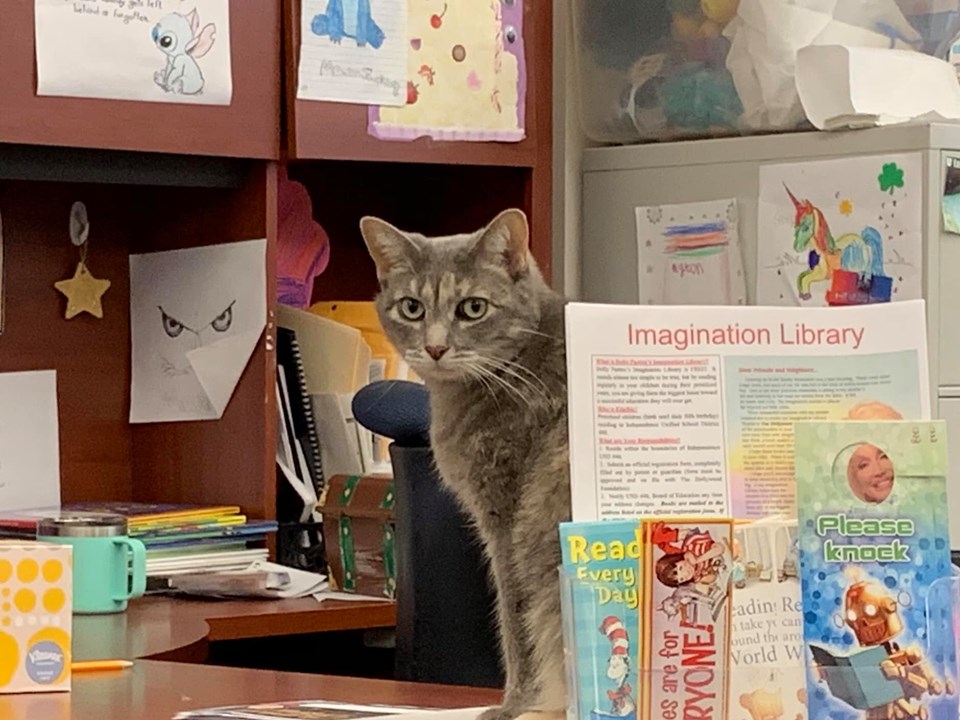 POIESIS/POLEMOS: Боряна Кацарска за поезията на Цочо Бояджиев