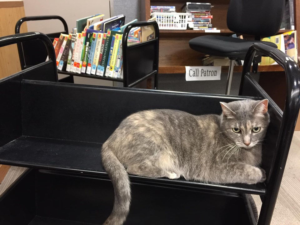 Среща-разговор с Роси Михова за новата ѝ книга "ТРИМА НАСАМЕ. Задочни разговори с Макс Фриш"