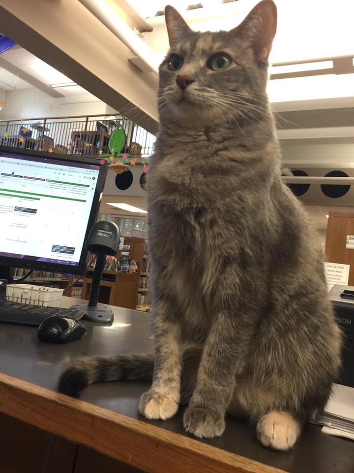 Среща-разговор с Роси Михова за новата ѝ книга "ТРИМА НАСАМЕ. Задочни разговори с Макс Фриш"