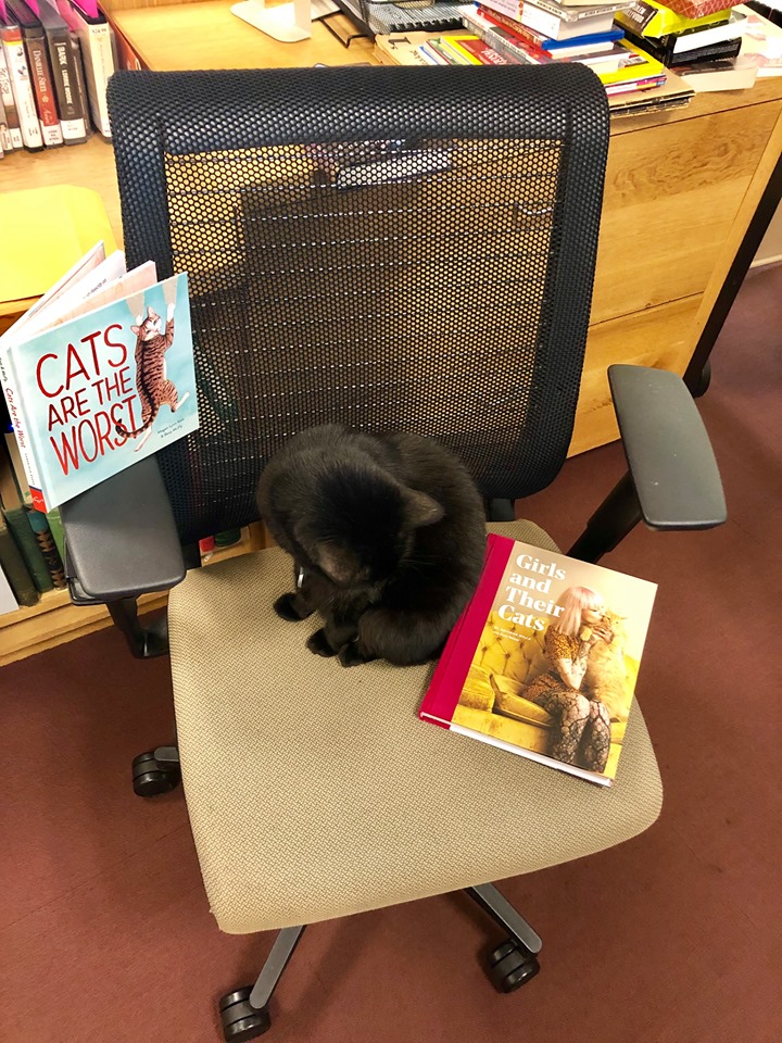 Среща-разговор с Роси Михова за новата ѝ книга "ТРИМА НАСАМЕ. Задочни разговори с Макс Фриш"