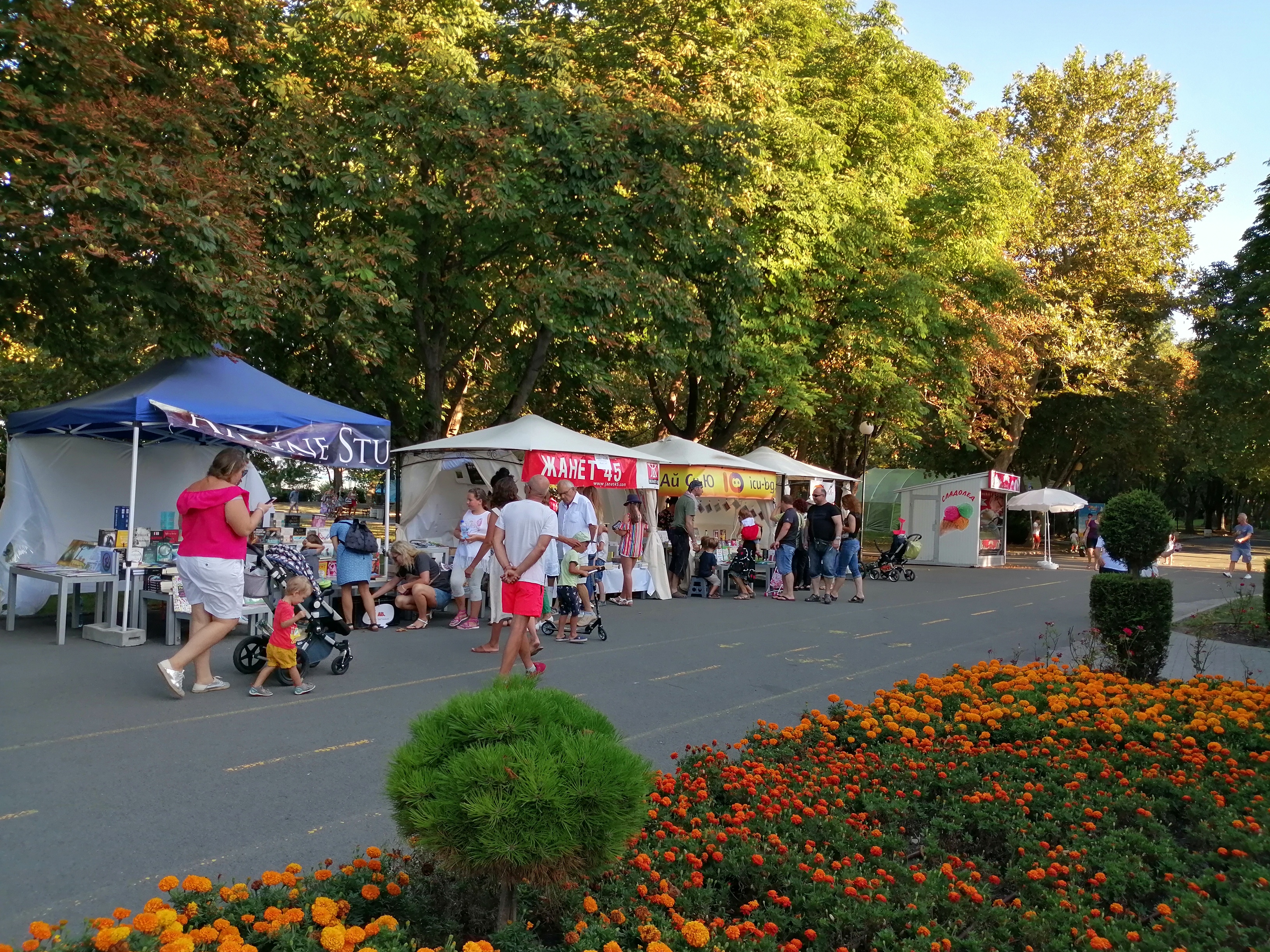 Среща-разговор с Роси Михова за новата ѝ книга "ТРИМА НАСАМЕ. Задочни разговори с Макс Фриш"