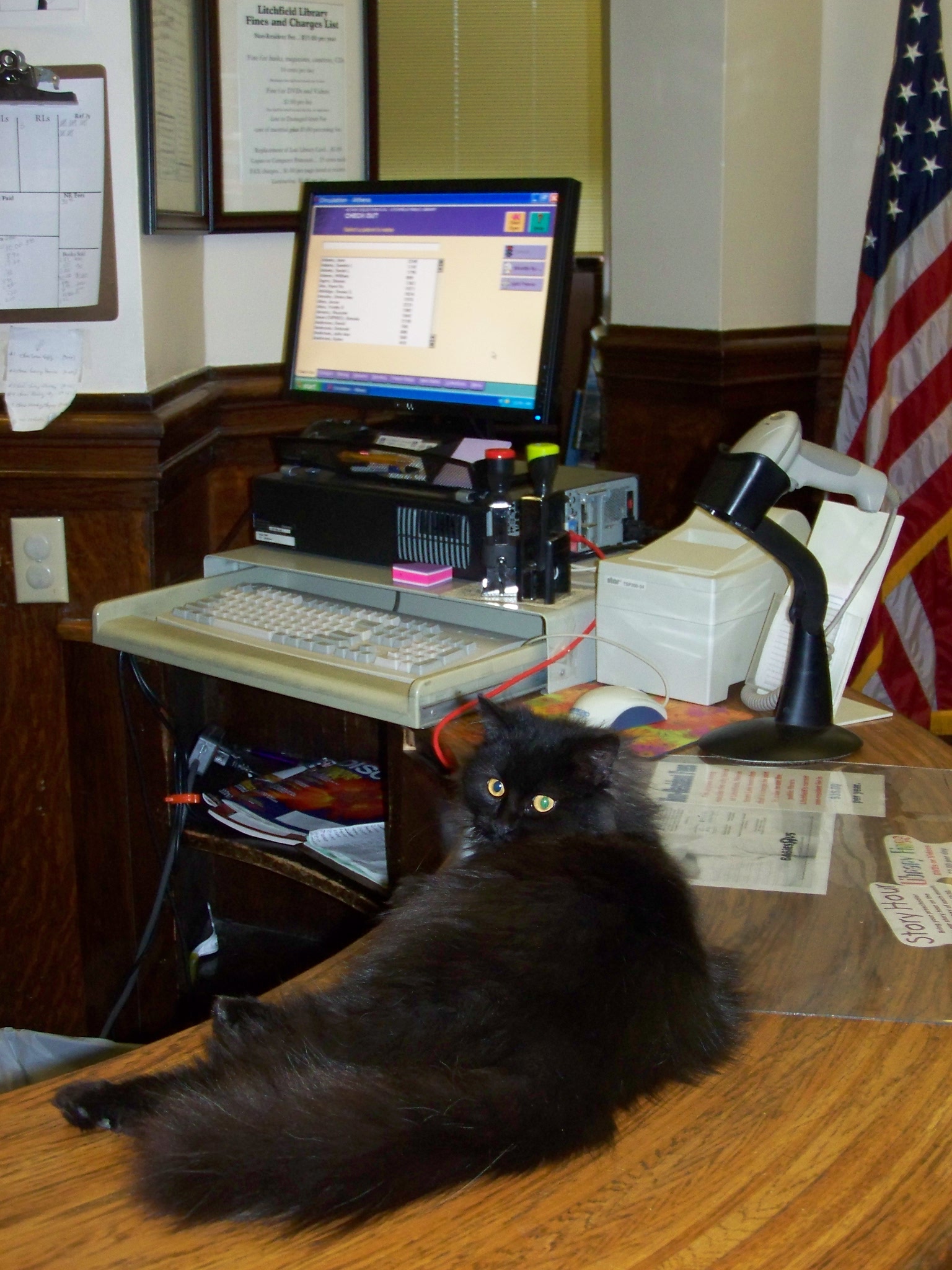 Среща-разговор с Роси Михова за новата ѝ книга "ТРИМА НАСАМЕ. Задочни разговори с Макс Фриш"