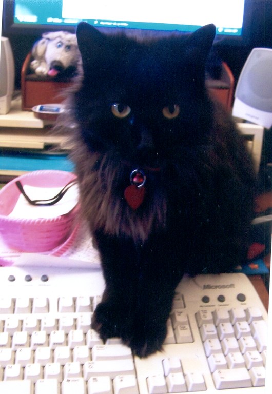 Среща-разговор с Роси Михова за новата ѝ книга "ТРИМА НАСАМЕ. Задочни разговори с Макс Фриш"