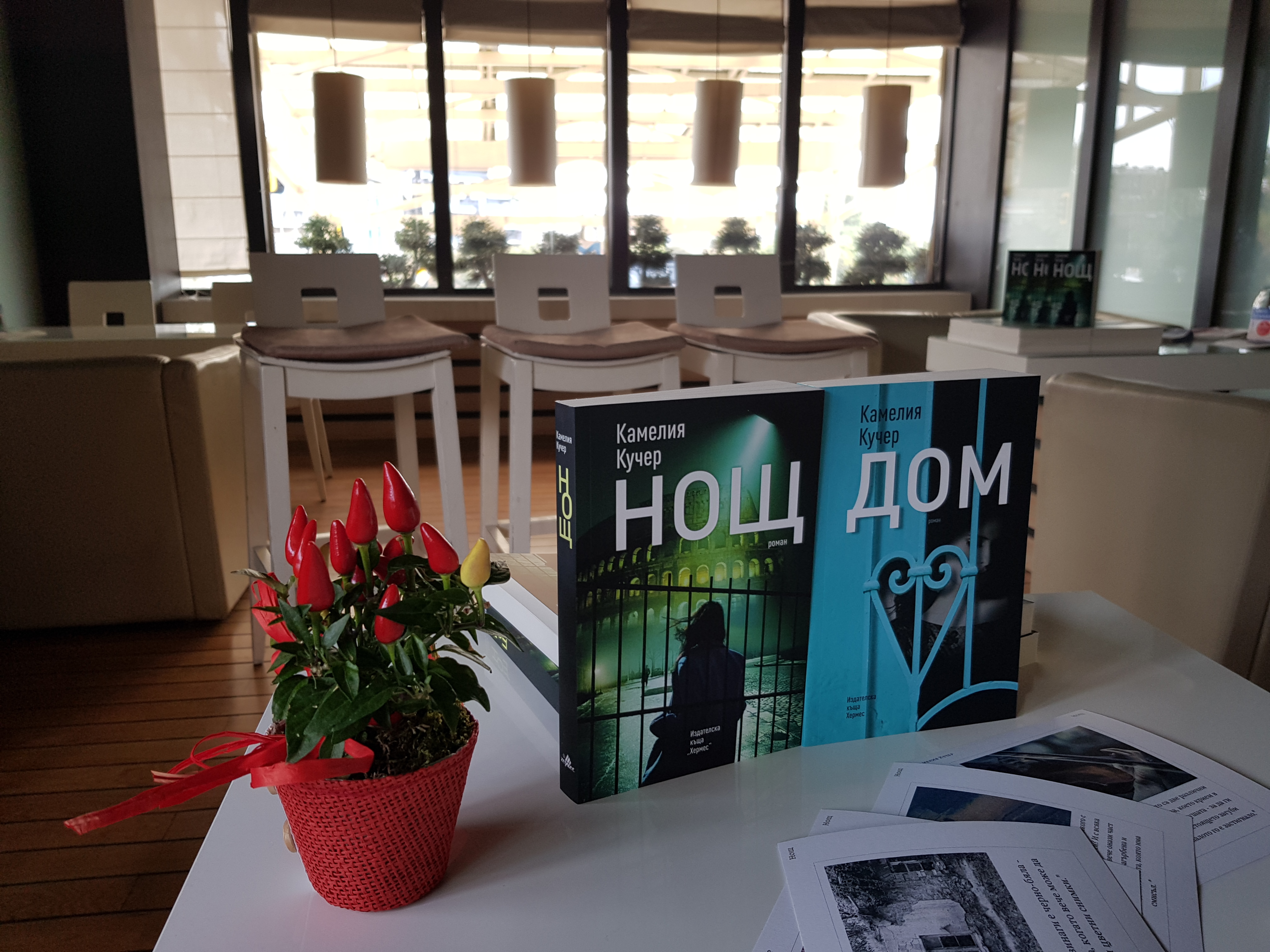 Среща-разговор с Роси Михова за новата ѝ книга "ТРИМА НАСАМЕ. Задочни разговори с Макс Фриш"